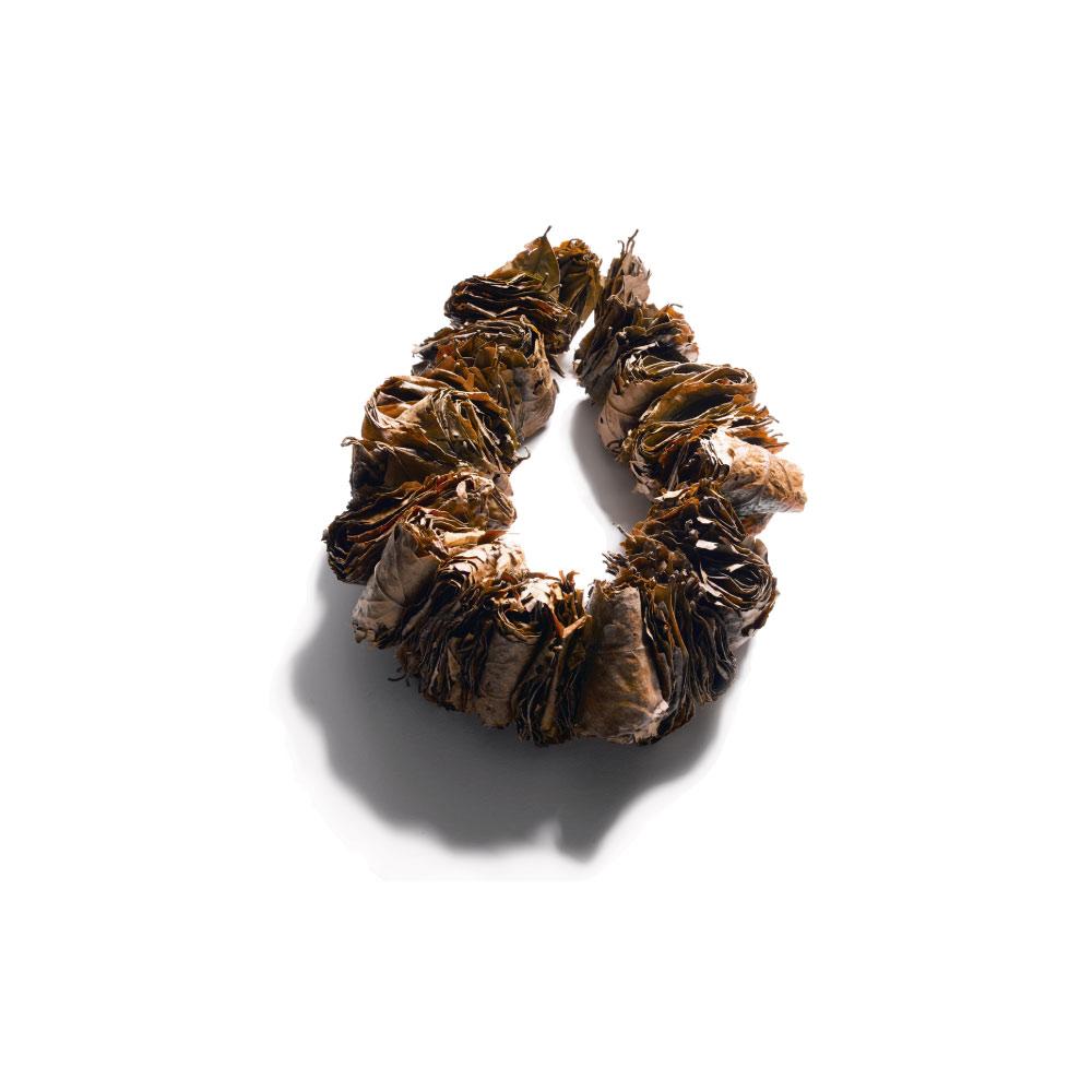 bundle of dry guayusa leaves