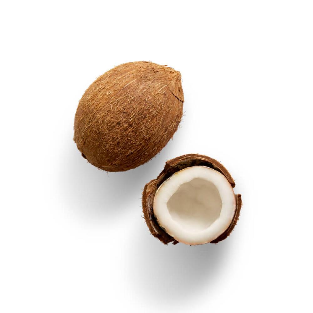 Coconut 