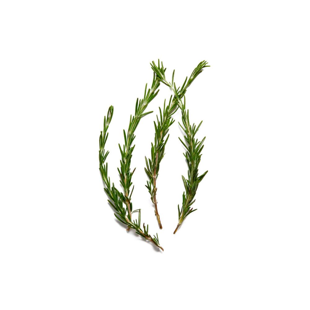 Rosemary Grass