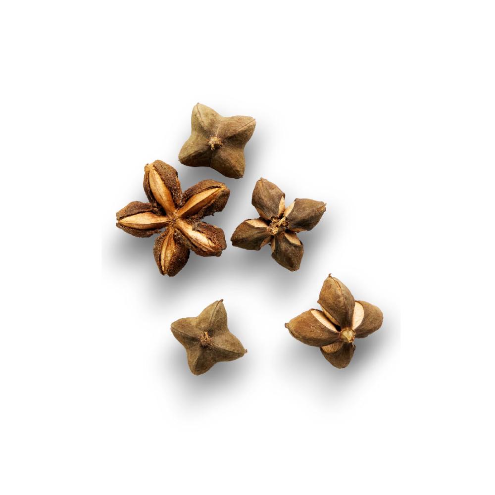 Sacha Inchi fruit
