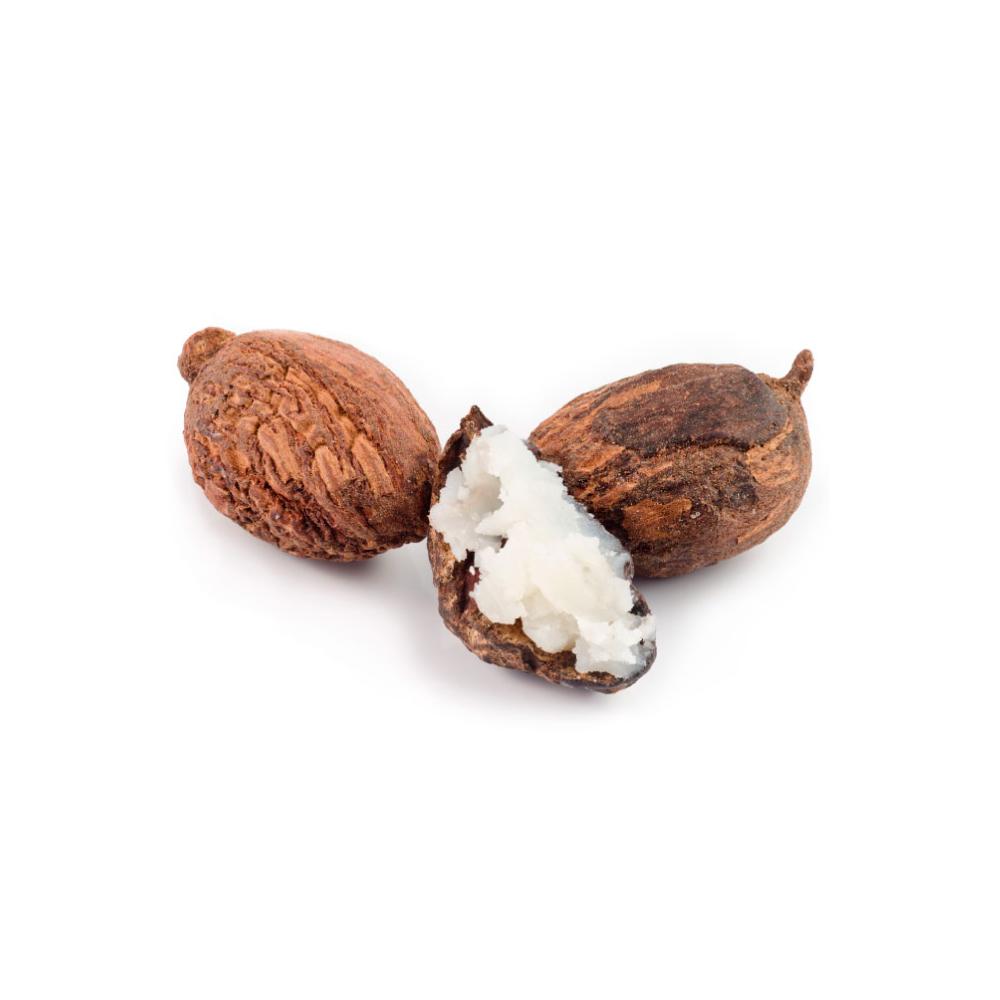 Shea butter fruit