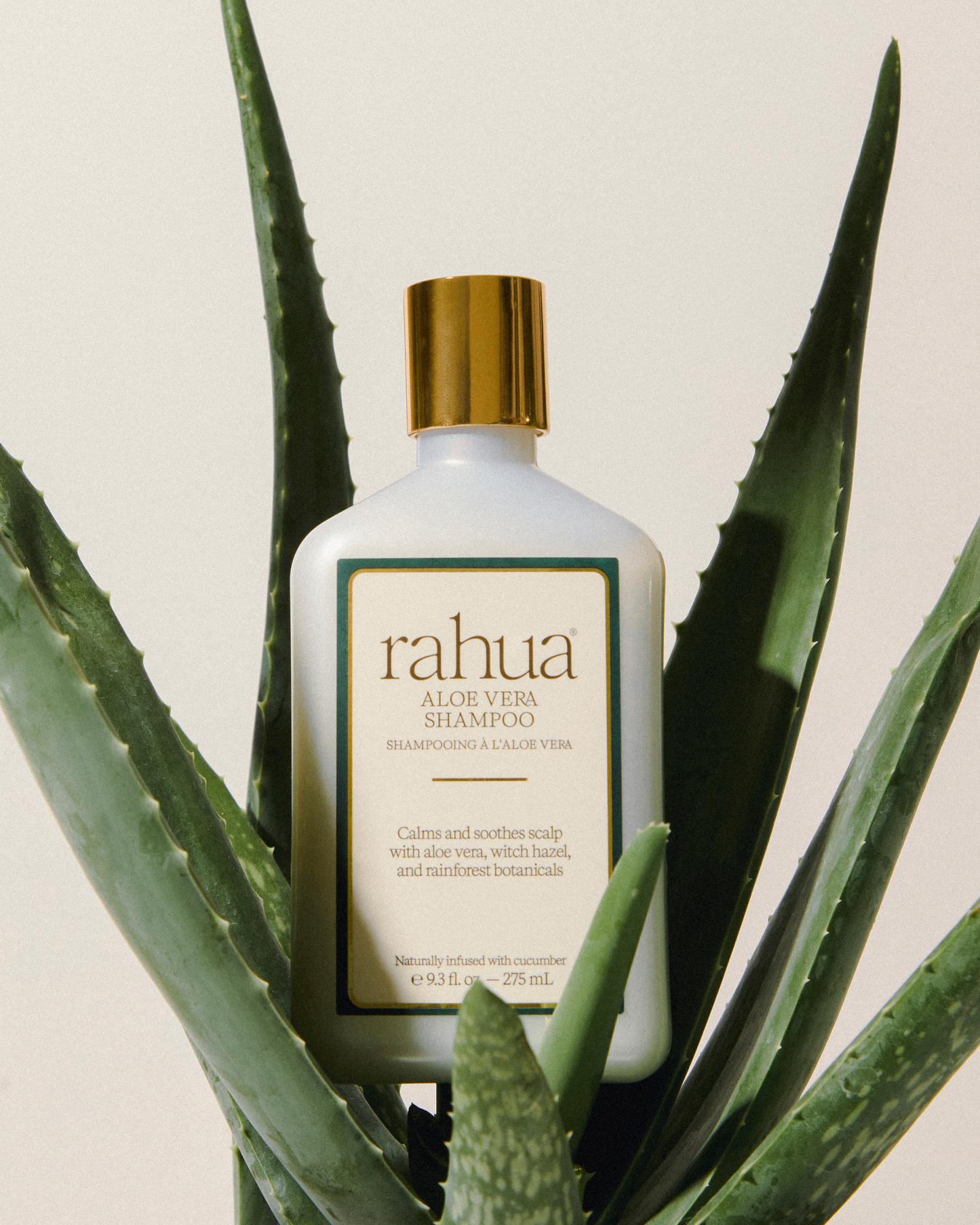 Aloe Vera Shampoo