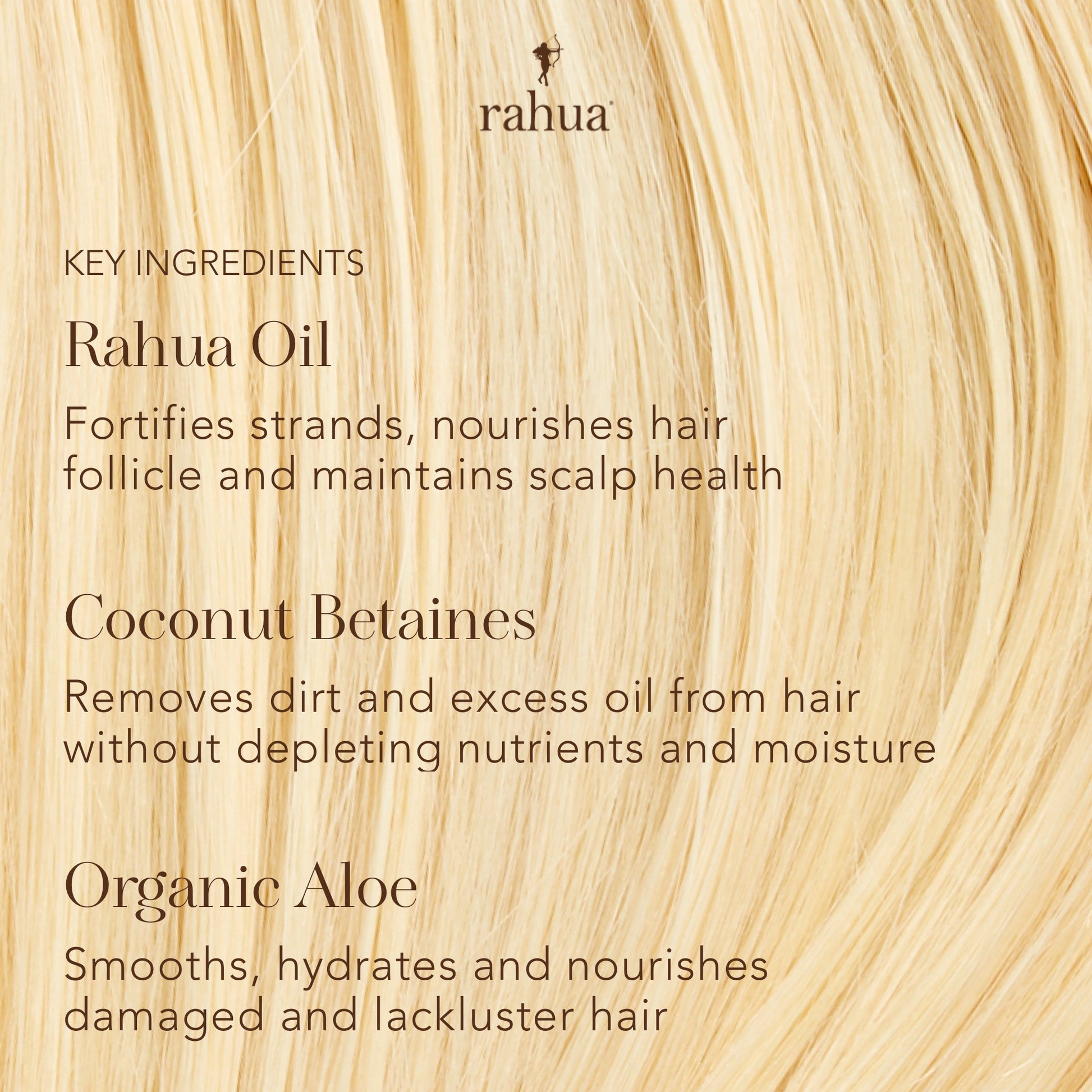 Rahua Classic Shampoo and classic conditioner infographic infographic